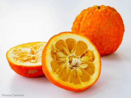تصویر 1 از قیمت نارنج ارگانیک درجه 1 + خرید باور نمکردنی